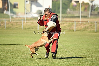 Xena vom Hause Diethelm