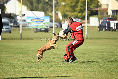 Xena vom Hause Diethelm