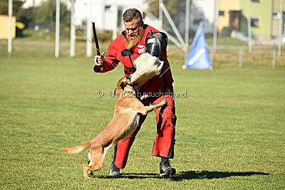 Xena vom Hause Diethelm