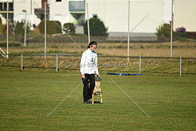 Xena vom Hause Diethelm