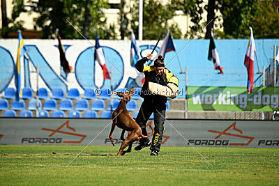 Xhunter von Warringhof
