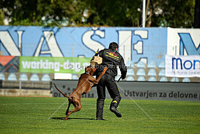 Xhunter von Warringhof