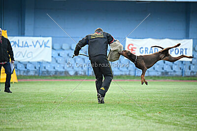 Xhunter von Warringhof