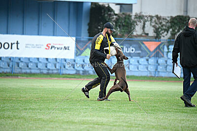 Xhunter von Warringhof