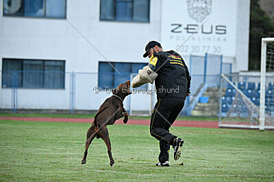 Xhunter von Warringhof