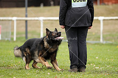 Xilver vom Grenzgänger