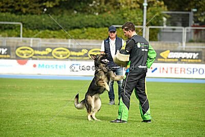 Xina von der Rohrbrücke