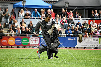 Xioux vom Lindelbrunn