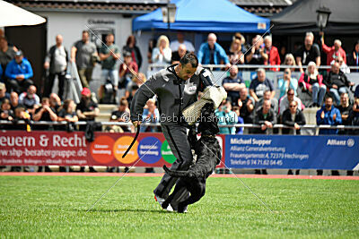 Xioux vom Lindelbrunn