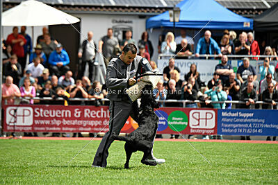 Xioux vom Lindelbrunn