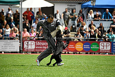 Xioux vom Lindelbrunn