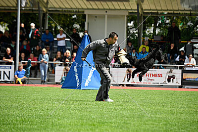 Xioux vom Lindelbrunn