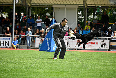 Xioux vom Lindelbrunn