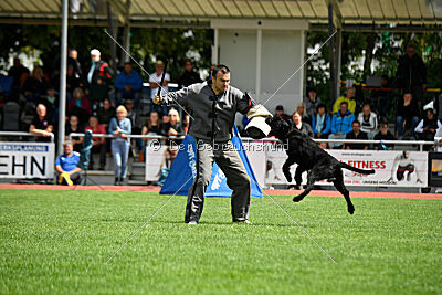 Xioux vom Lindelbrunn