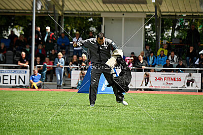 Xioux vom Lindelbrunn