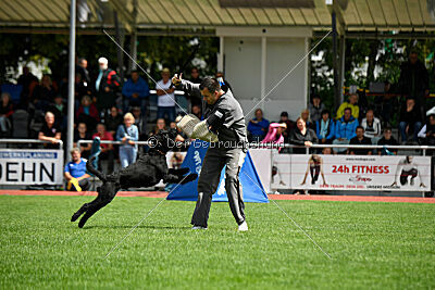 Xioux vom Lindelbrunn