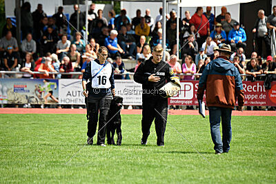 Xioux vom Lindelbrunn
