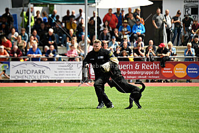 Xioux vom Lindelbrunn