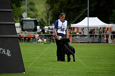 Xioux vom Lindelbrunn