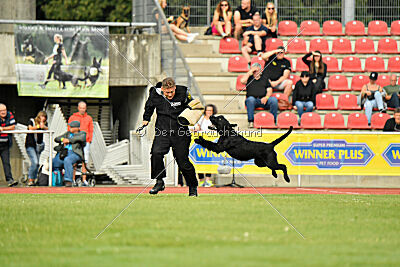 Xioux vom Lindelbrunn