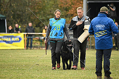 Xioux vom Lindelbrunn