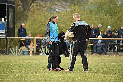 Xioux vom Lindelbrunn