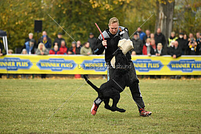 Xioux vom Lindelbrunn