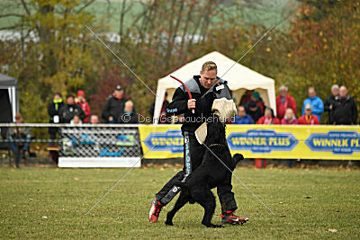 Xioux vom Lindelbrunn