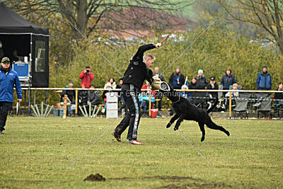 Xioux vom Lindelbrunn