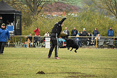 Xioux vom Lindelbrunn