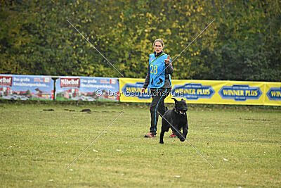 Xioux vom Lindelbrunn