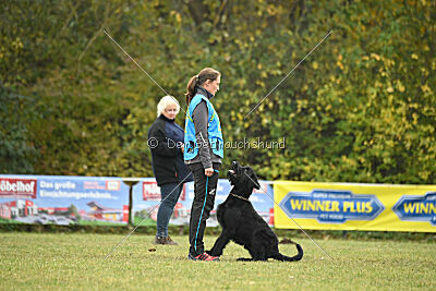 Xioux vom Lindelbrunn