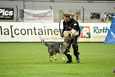 Xmolly vom Wolfsdreieck