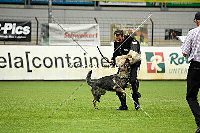 Xmolly vom Wolfsdreieck