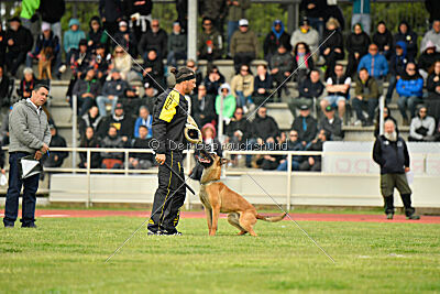 Xoltan vom Gsiberger