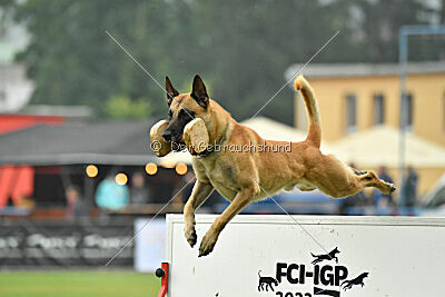 Xtreme vom Further Moor