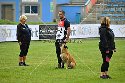 Xtreme vom Further Moor