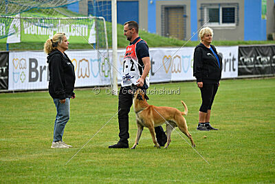 Xtreme vom Further Moor