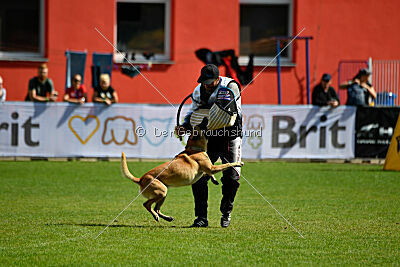 Xtreme vom Further Moor