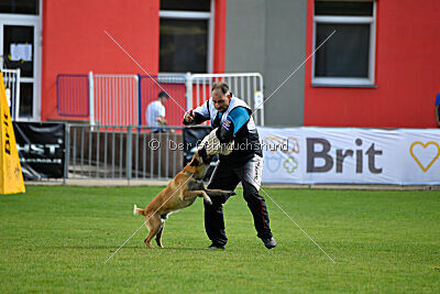 Xtreme vom Further Moor