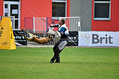 Xtreme vom Further Moor