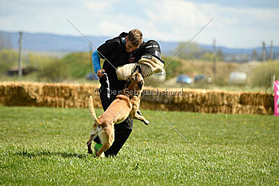 Xtreme vom Further Moor