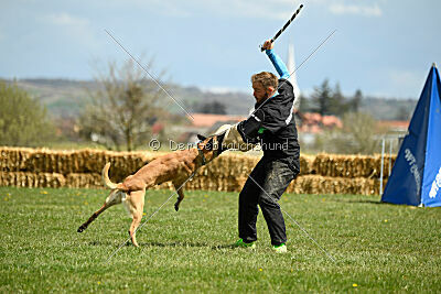 Xtreme vom Further Moor