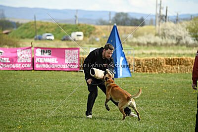 Xtreme vom Further Moor