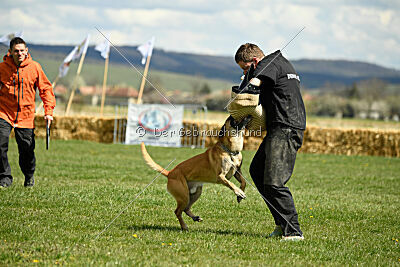 Xtreme vom Further Moor