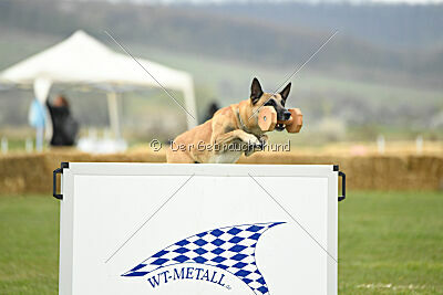 Xtreme vom Further Moor