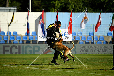 Xtreme vom Further Moor