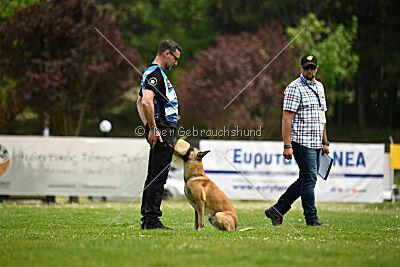 Xtreme vom Further Moor