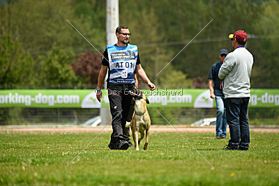 Xtreme vom Further Moor