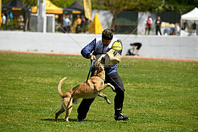 Xtreme vom Further Moor